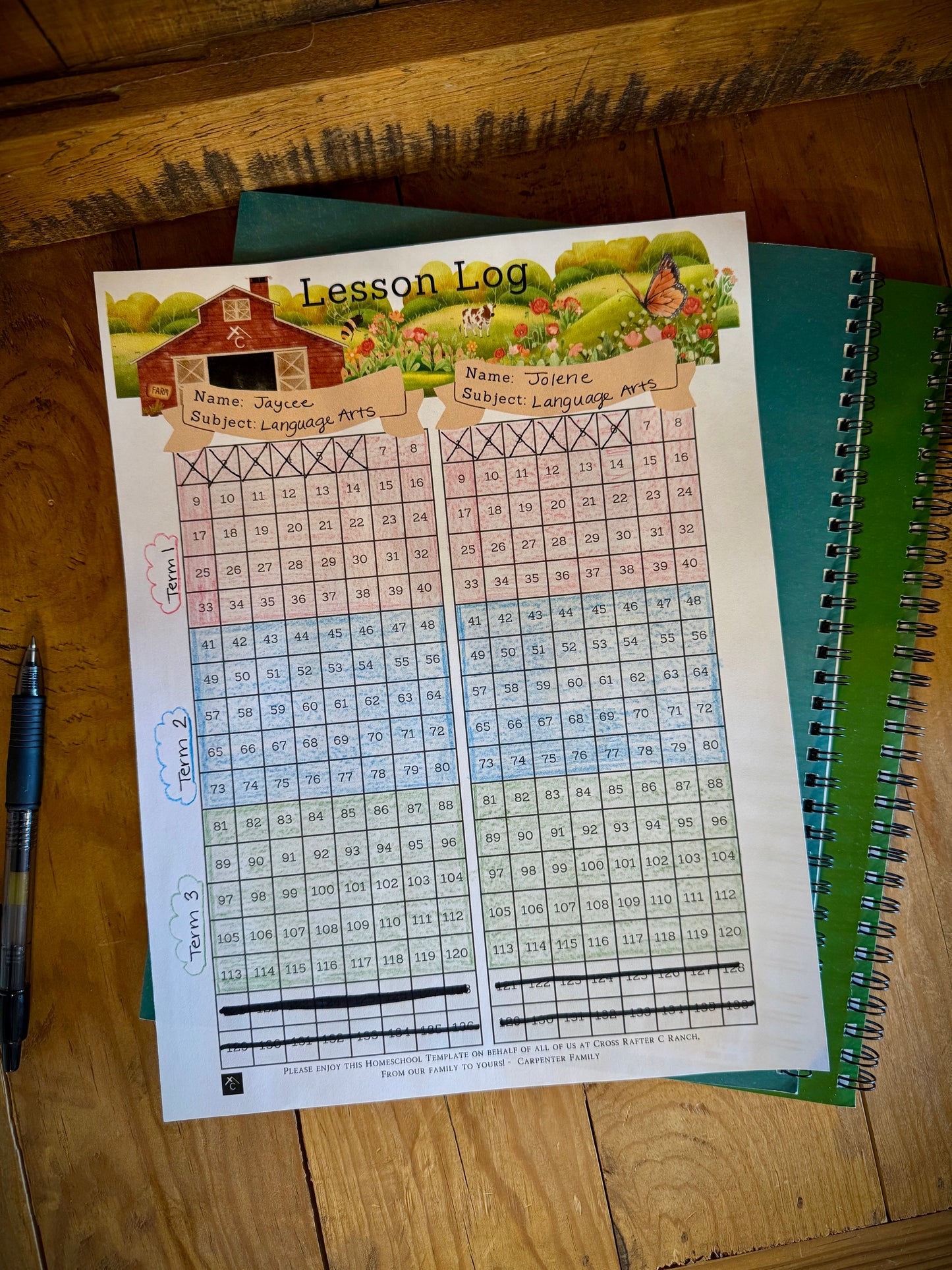 Homeschool Lesson Log - Downloadable PDF