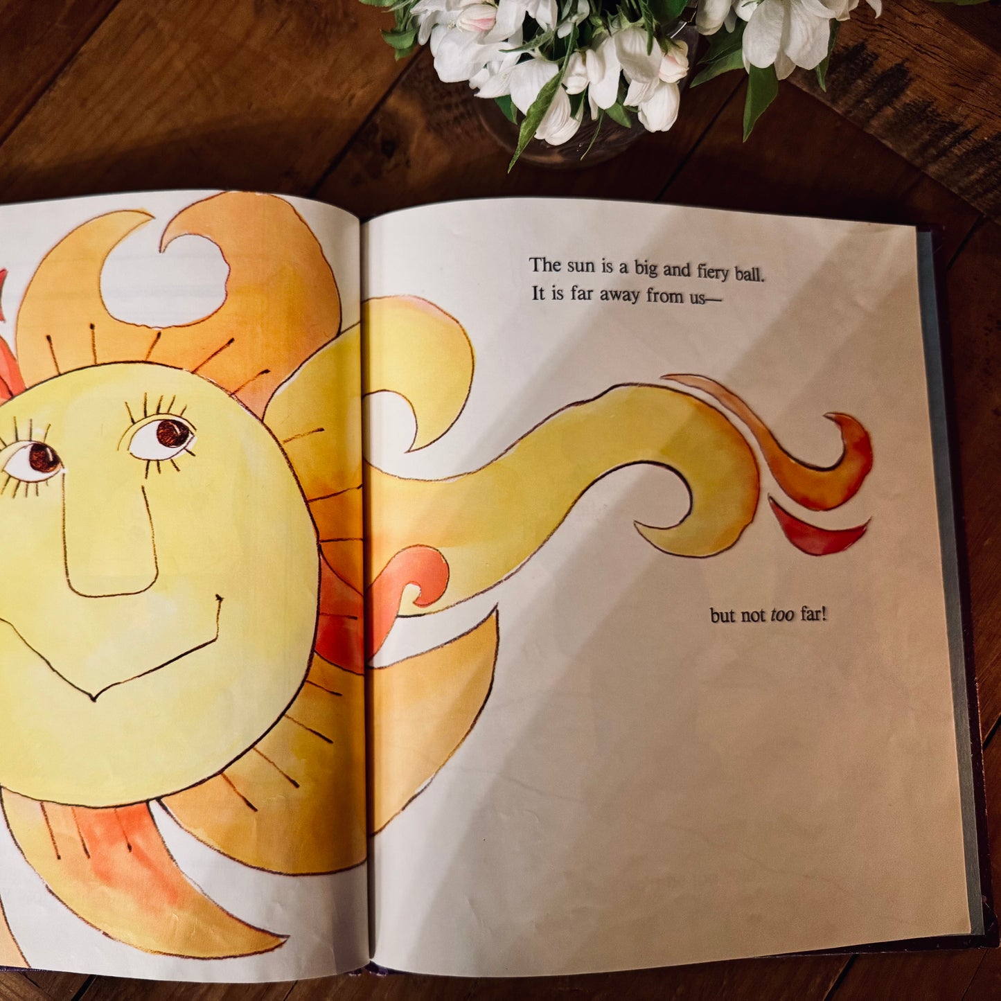 Book - Vintage 1982 Our Friend the Sun
