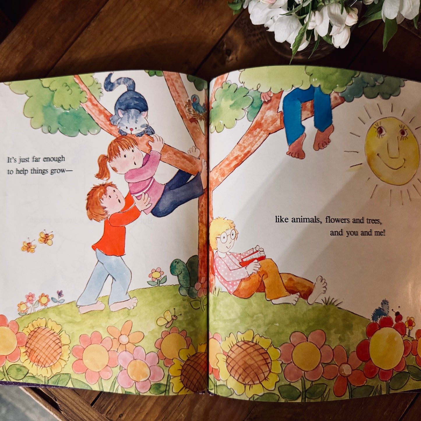 Book - Vintage 1982 Our Friend the Sun