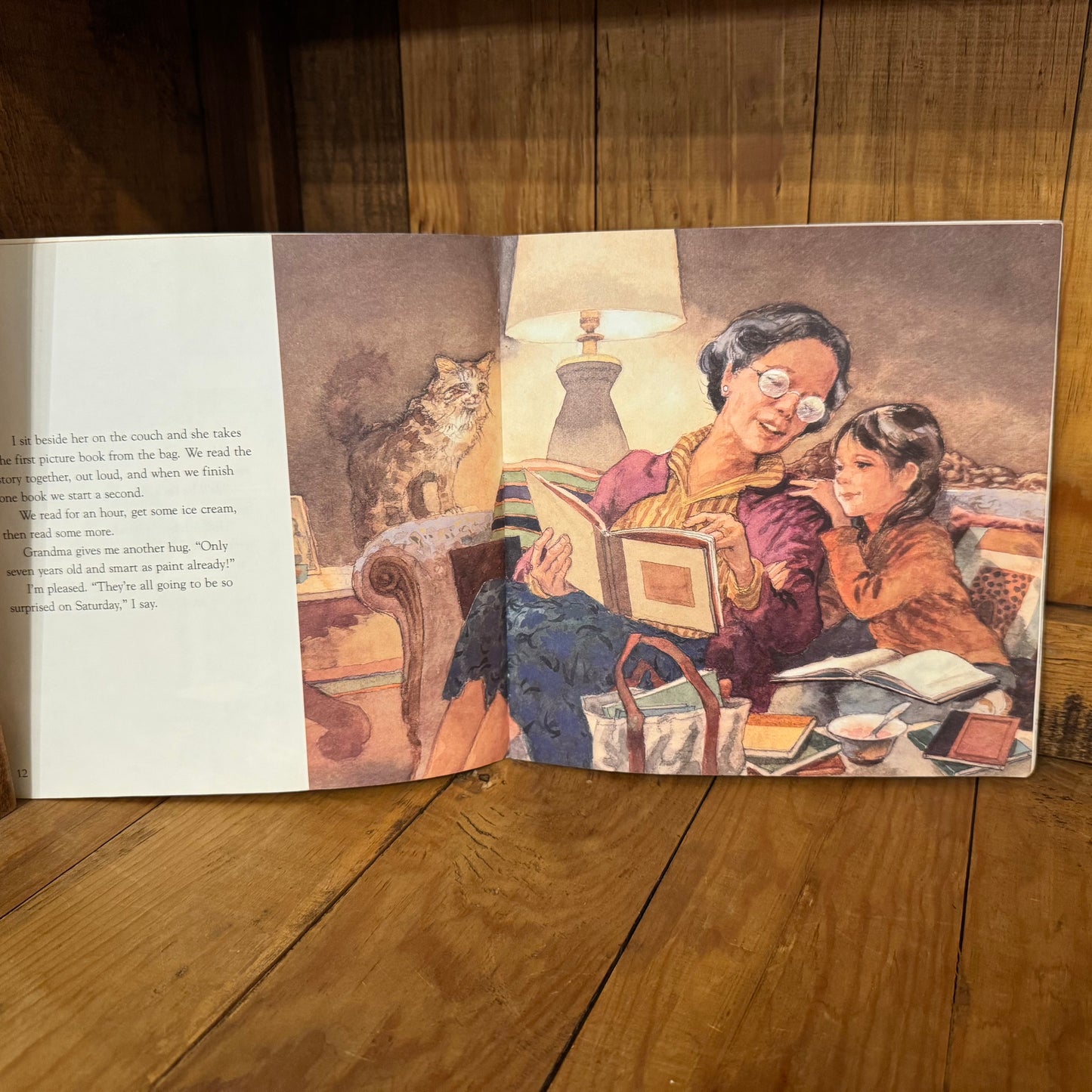 Book - Vintage 1989 The Wednesday Surprise