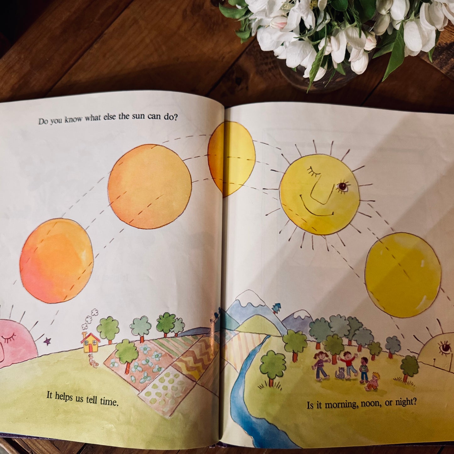 Book - Vintage 1982 Our Friend the Sun