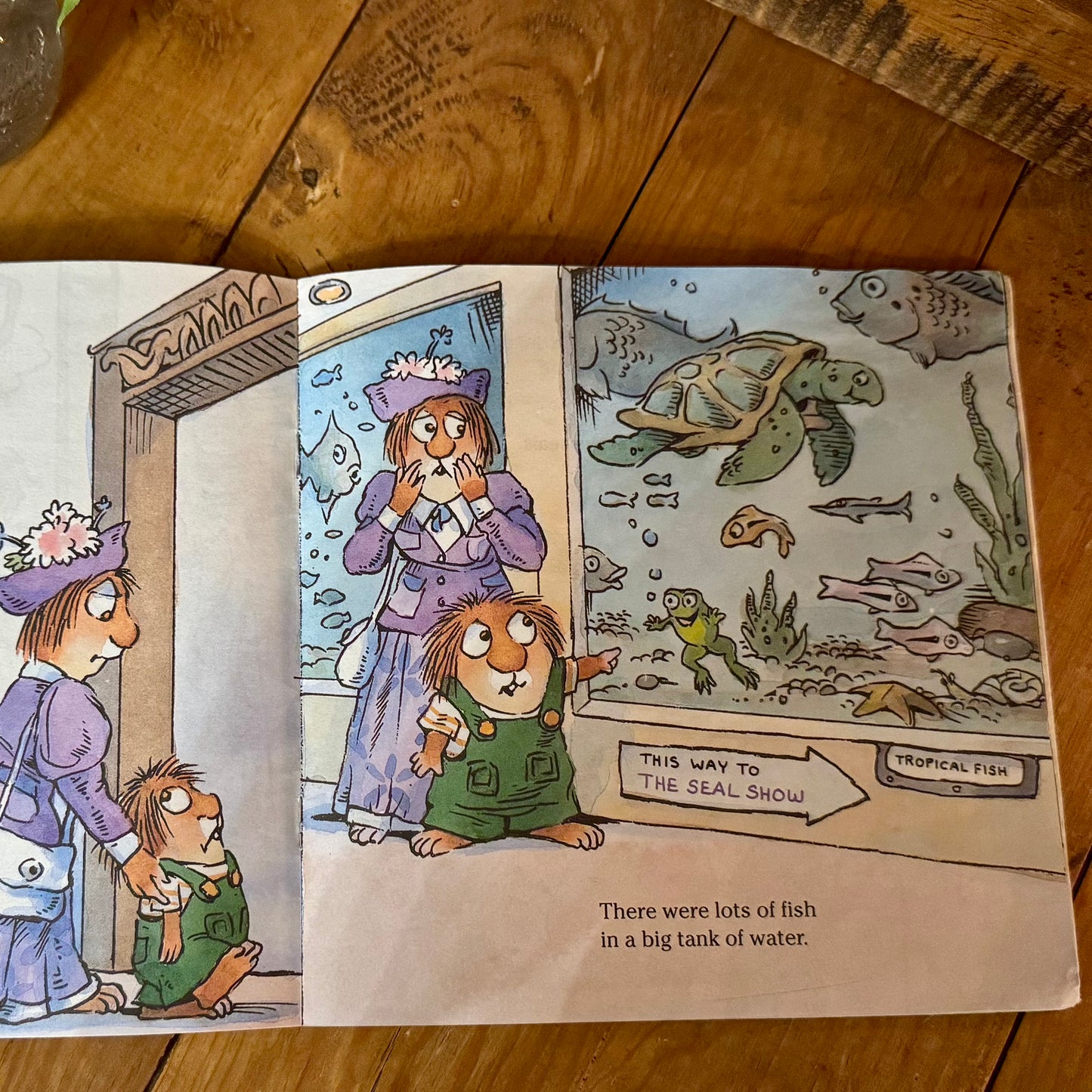 Book - Set of Two Little Critter Books