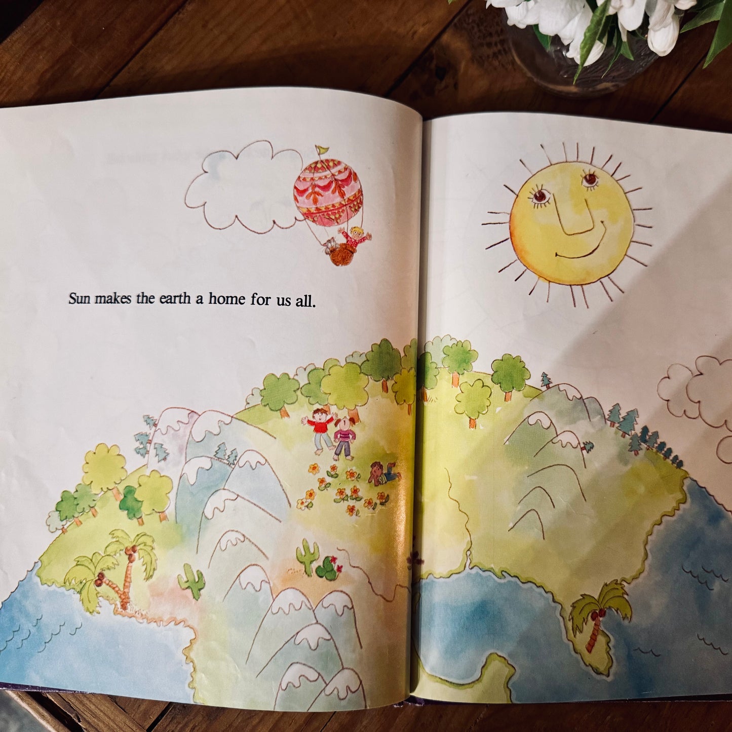 Book - Vintage 1982 Our Friend the Sun